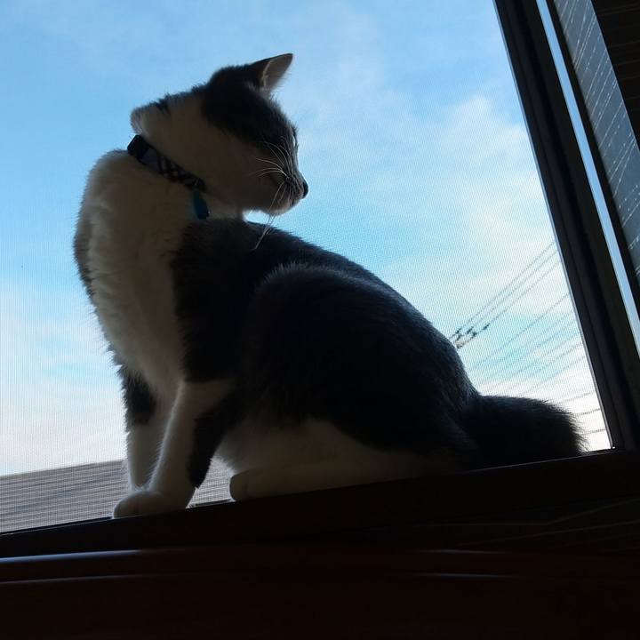 A435baeb ac7f 4934 9334 5644c2bd5196 1599948147262