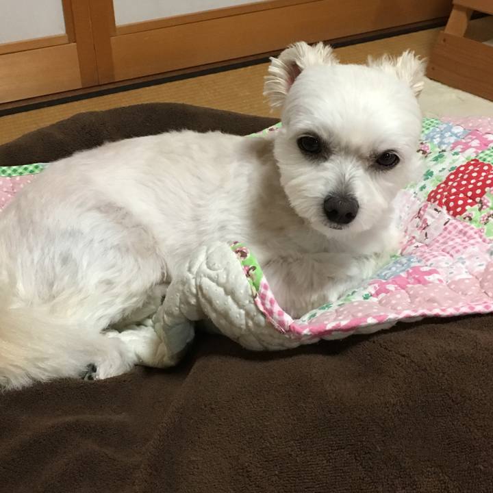 A435ef82 a7de 4d6e 8d0b 58987f3d3404 1507722997332