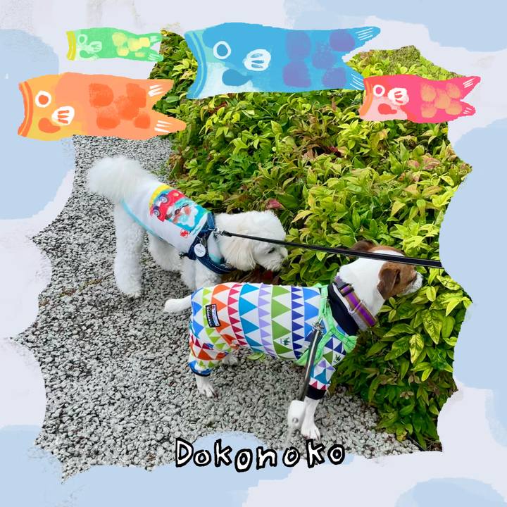 A43644ba a012 4116 b098 961d99c9ad70 1749523727885