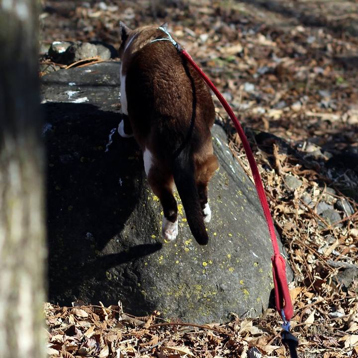 A4366838 6a47 4165 a803 d3944c692919 1515286355734