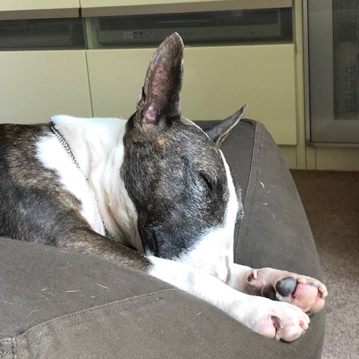 A436b120 3490 4c52 9111 433b1b756c10 1527395140860