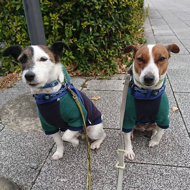 A436d99e 9713 49f3 a422 16a9e2b4599f 1611788057240