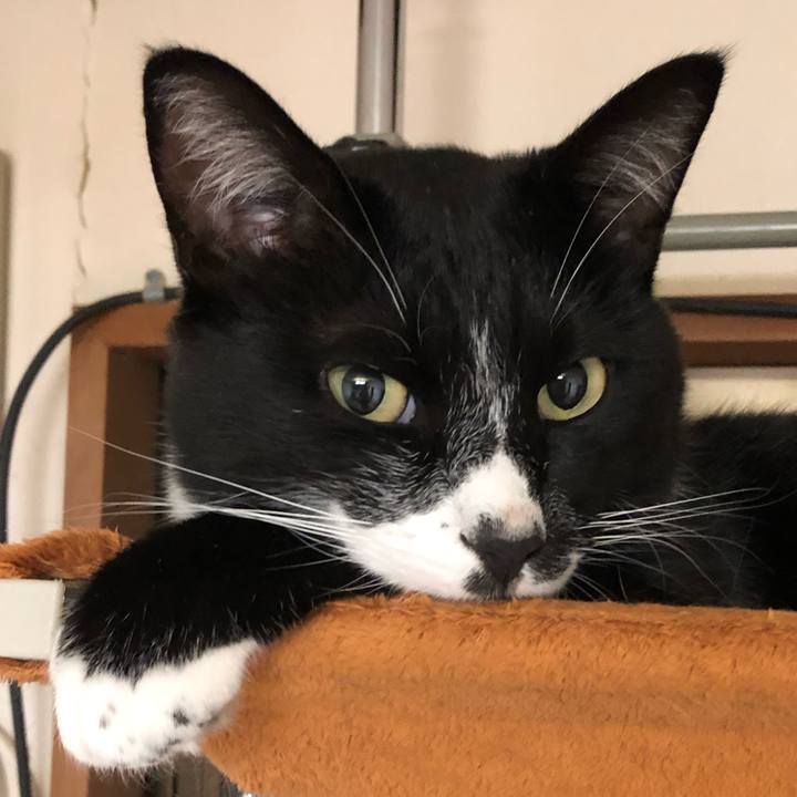 A436de5b 26fa 4412 b437 b2324510ddaa 1569901552964