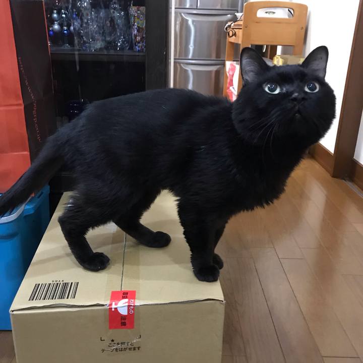 A436f898 ce06 4b2b 97c2 1af1e332c520 1556618064345