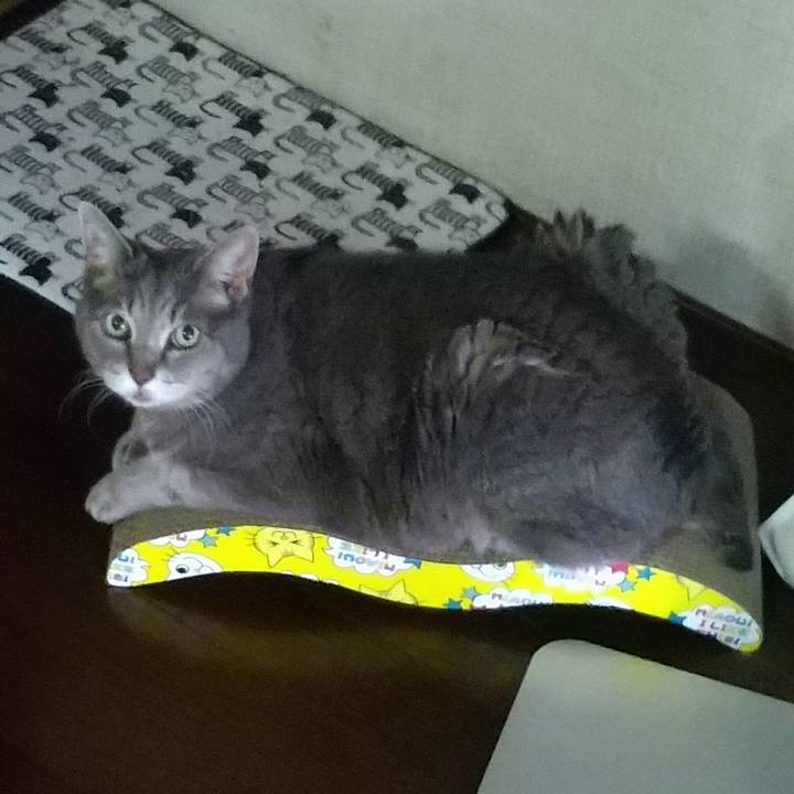 A4372f42 54f0 4bf3 9e3f f6cc0ac1d75c 1657489732669