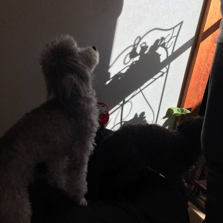 A4375b11 1675 4da4 a880 0e50a4c4c3bd 1512219399645