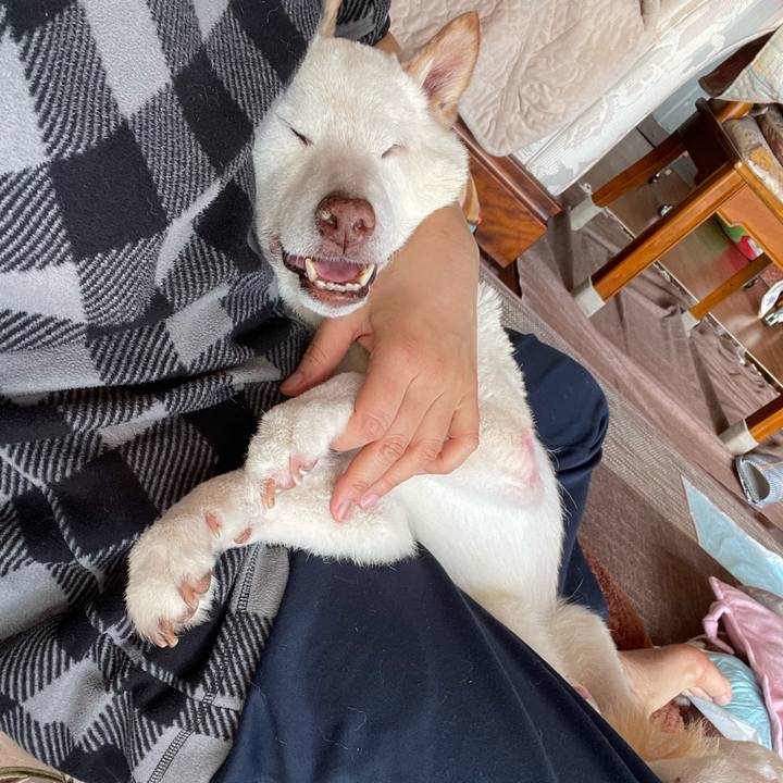 A4377f99 f323 4ddb a18f fba48f45b1b5 1673515333848