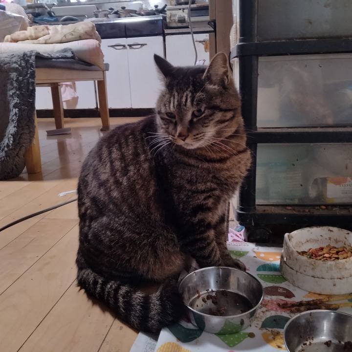 A4379ecd 7847 4b3b bbdd 7da9d7a3323d 1681945562437