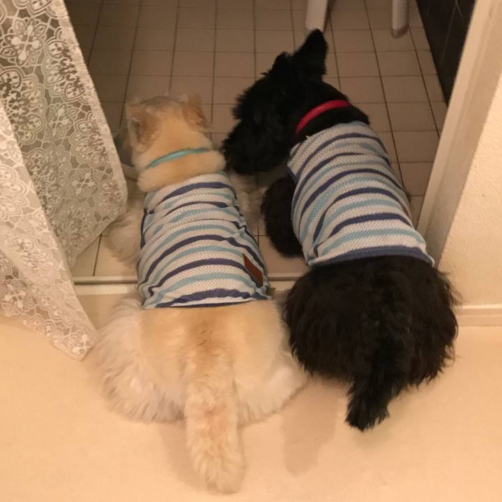 A437b153 eef3 4f28 ae7a 449143316a47 1531970534736