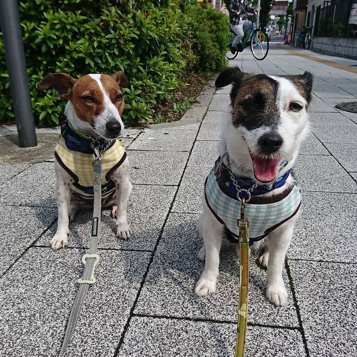 A437f3ae 0a8e 4061 b75a c0fe050dc1e2 1590277078139