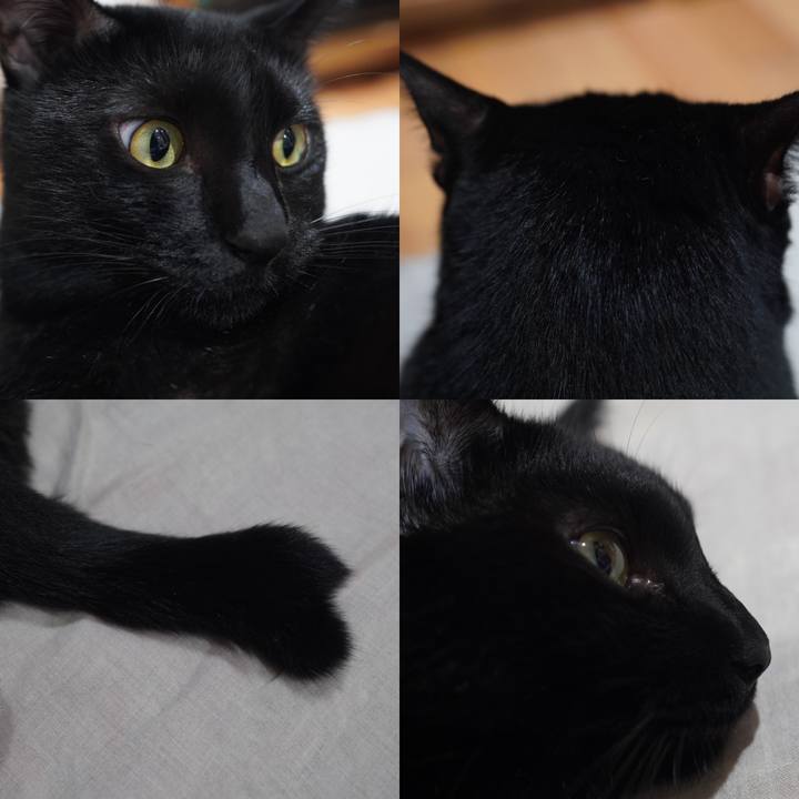 A4380753 7d9e 4662 bf2d 1c9fad099dec 1598709018144