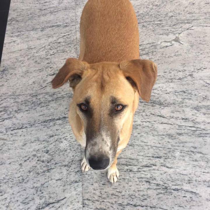 A4380e62 e49d 4207 bb22 95f4c03e4e4d 1521735558035