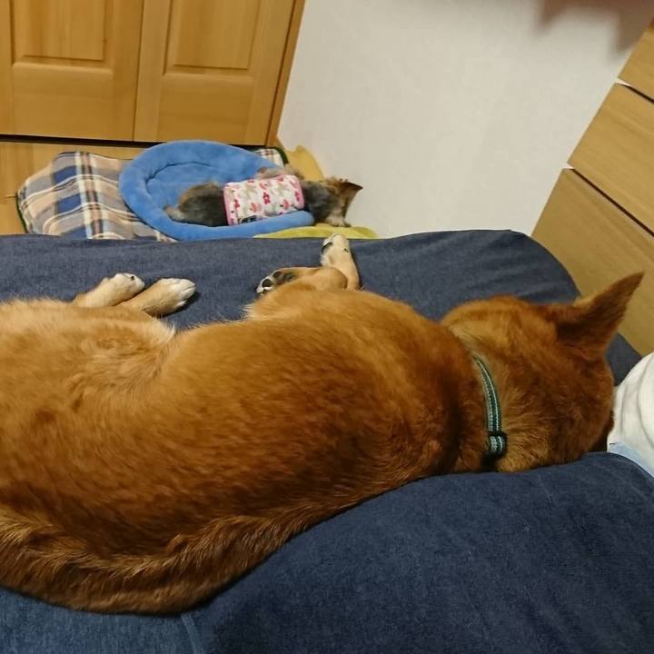 A4384604 da75 4fe2 bd42 532b190599c5 1525957931344