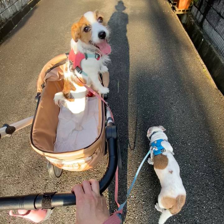 A4388cd5 5df7 4f0c 8bef f4e1a4658062 1725234874276