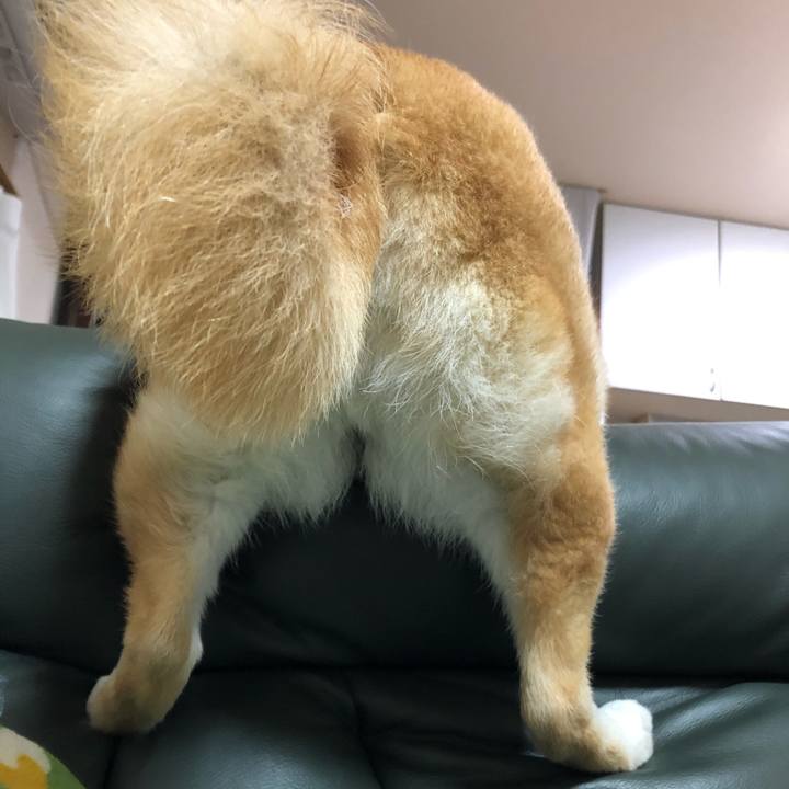 A4389bbe f297 4ea7 905a ae0159ddd983 1586432846304