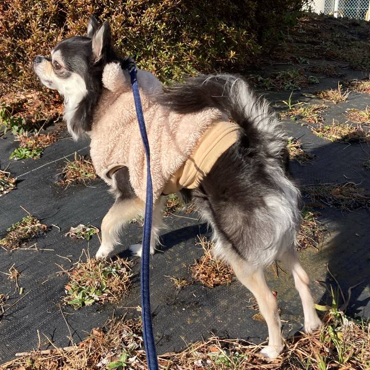 A438bf02 4844 472c a172 f176f7187d7f 1677337323024