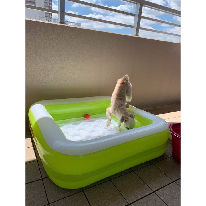 A438ccf3 8316 42c2 acdb 5f5699654cae 1564972698912