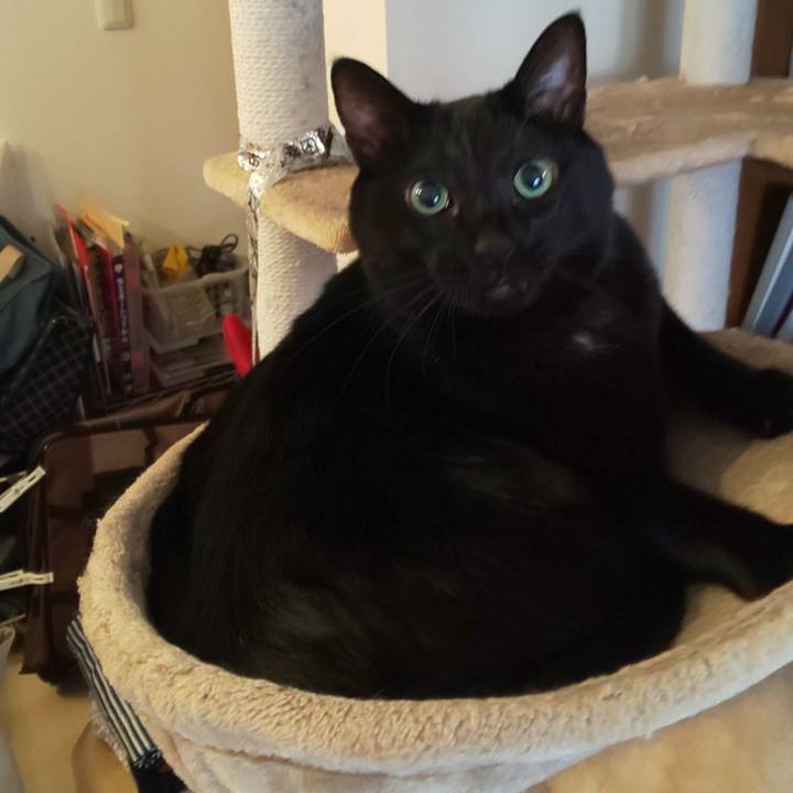 A439323d 7a77 4dde aa0e 17ad618b7479 1764077092778