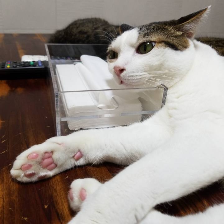 A43961e1 ec1a 483f bc10 2f14ef5b4a53 1569964698225