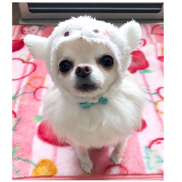 A4396b36 7520 4439 9cf6 9c8d73d83e70 1543043975000