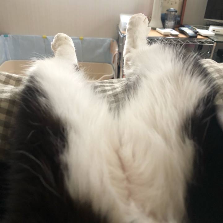 A4399cea c6dd 4d46 840a c692a9e5801d 1578806686281