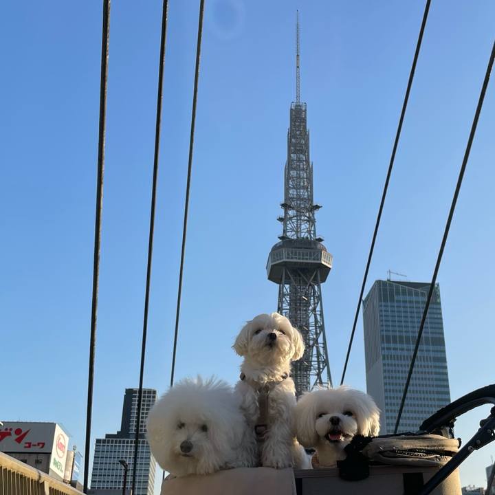 A439a64f 8238 43e0 b14e 0458662247e7 1763413379572