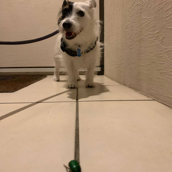 A439eeb9 4df4 456a 8031 8fd1830b68d3 1726836034975