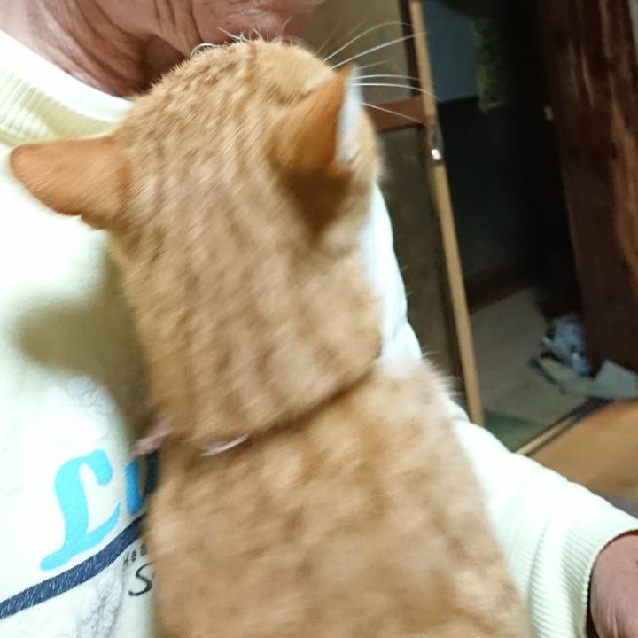 A43a15e1 d259 4cee 8351 b91e42cb4c38 1602535306772