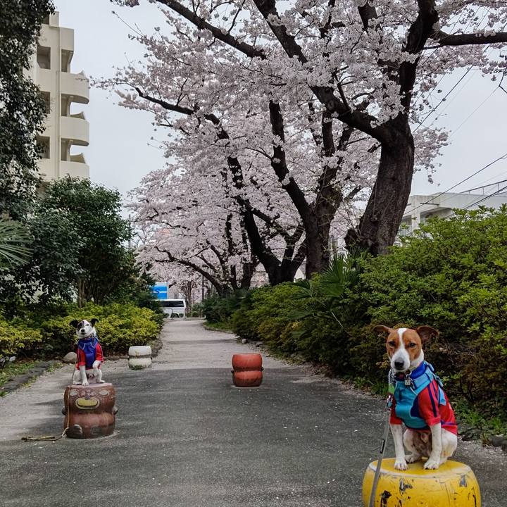 A43a1eda 9d67 41e1 bf69 762f78e14824 1648505613479