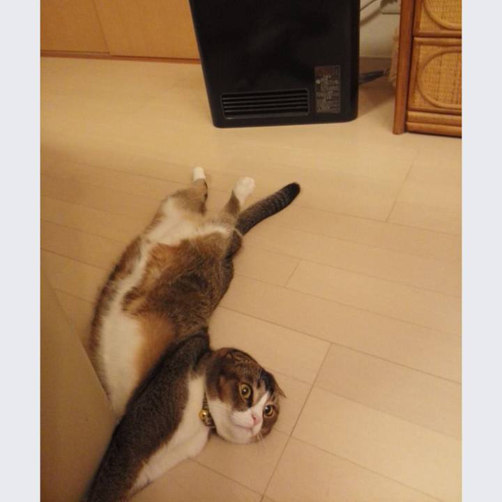 A43a705b a1d5 4ba5 a79b 304dbc7e713d 1546763527480