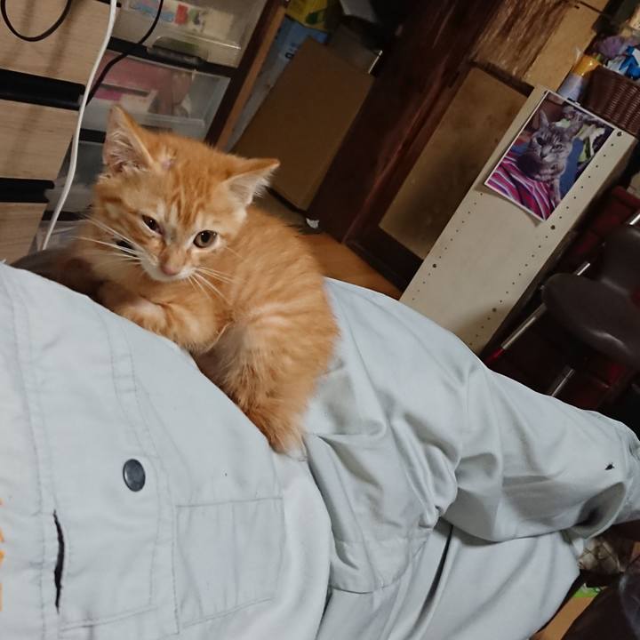 A43a7afc 50b2 470a b1e9 a356505819bc 1628936270321