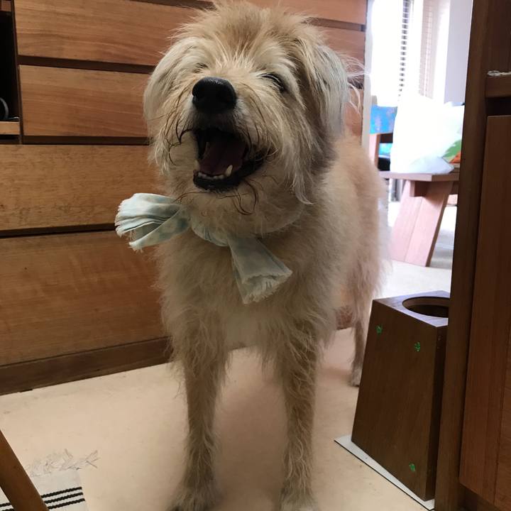 A43a7da1 1271 43dc ab43 e818c6500fa2 1564022118135