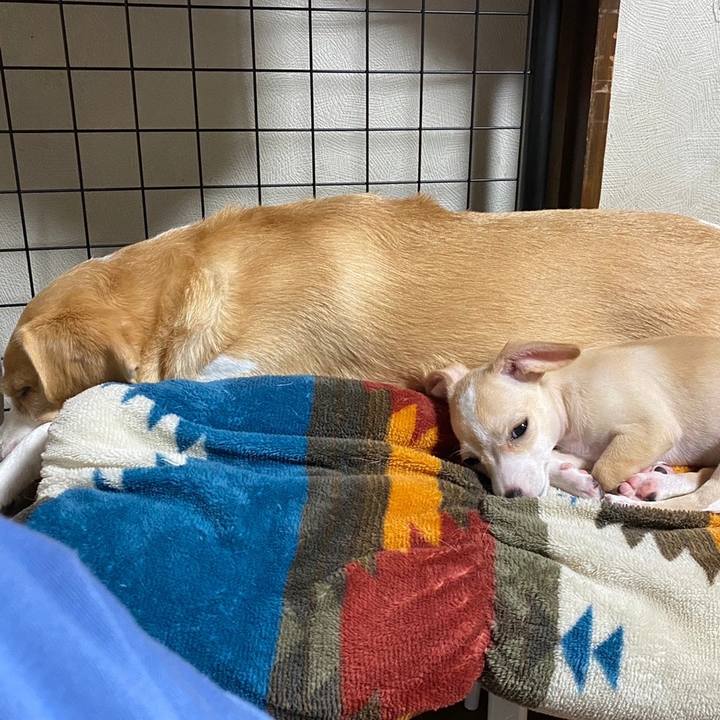 A43a839a b3c9 49c2 82f9 49e870a92cb1 1662685865023