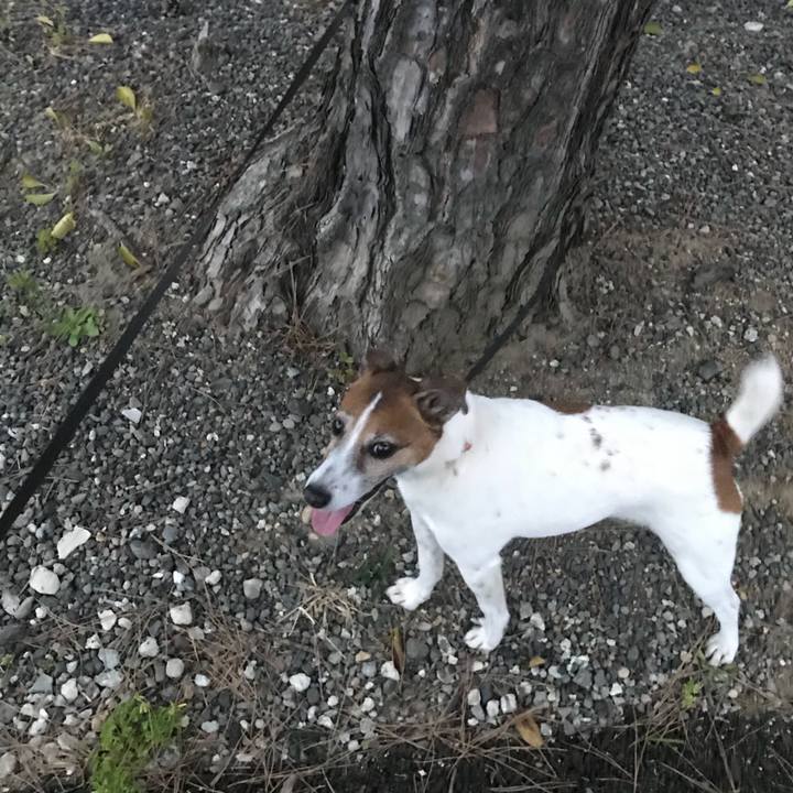 A43aad5a 2626 4525 ba2d a39ea34c2598 1522841894231