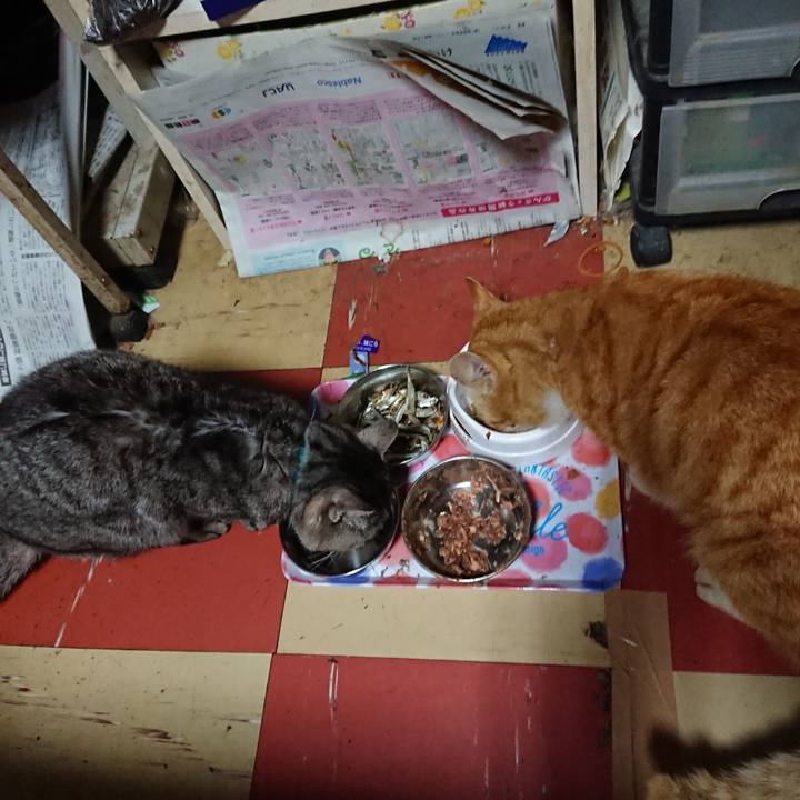 A43ad6a9 4fc3 4775 b4c7 bfa1cff96192 1554110437098