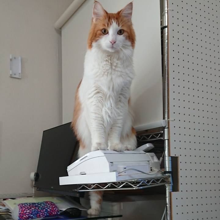 A43ad8dc 68f7 4973 9036 2149a0da47d7 1577156716977