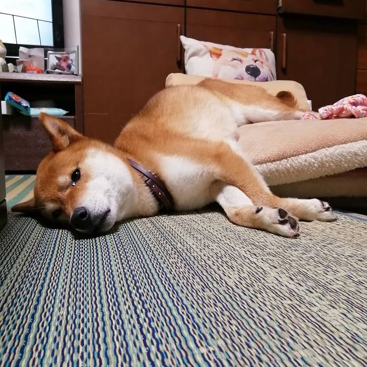 A43ae6fe ed2c 458c 9607 44ca58839b5b 1590325168095