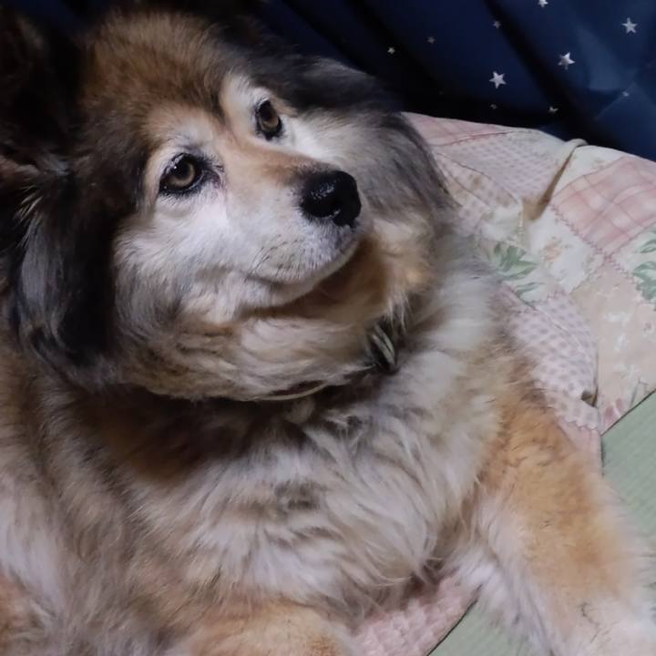 A43b169f f8bf 41bb 967b d0274cd88e28 1609111330832