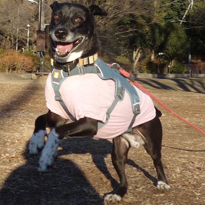 A43b1fdb 5e76 48ee bed1 57414a47fdb0 1705020681428