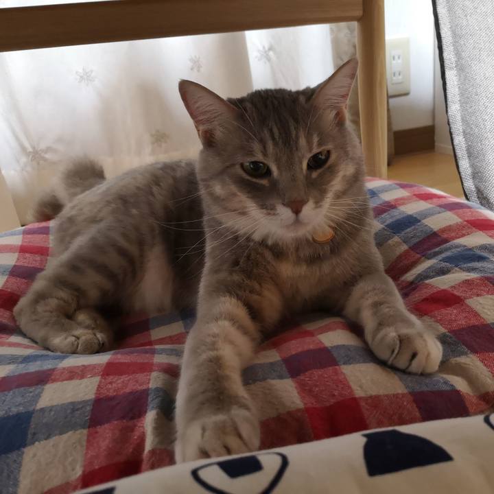 A43b6790 060c 4d16 8fcc eae2ec7d9f40 1558401977808