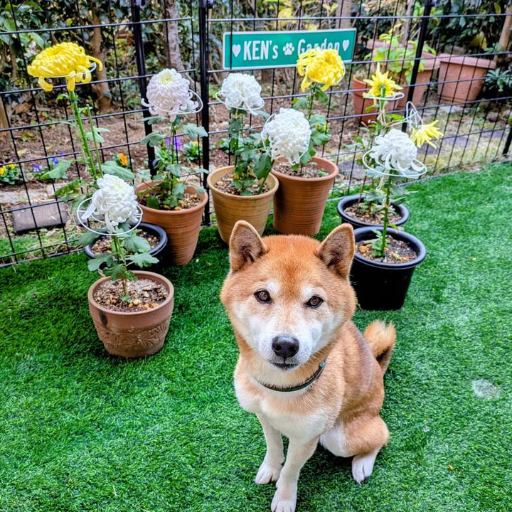 A43bb5e5 3fb2 4be9 9c8f 8376b2baa162 1764747667073