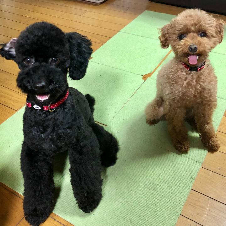 A43be646 dac2 4447 ae7a 287f39f3999f 1557738780237