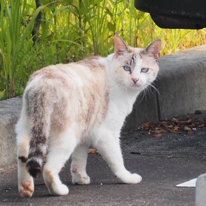 A43bfef5 d890 4461 a333 61e795e12e9f 1598179155584