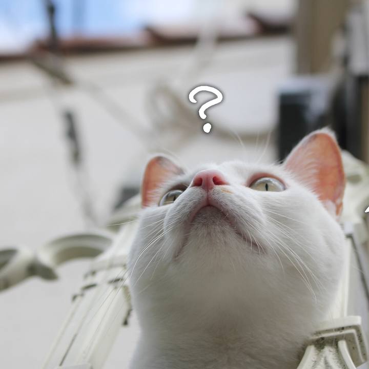 A43c7afb 2869 455e b50f 34f7563fa2ea 1597551852968