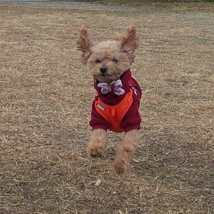 A43cb11e fc2c 4eb4 b7fc 64600f711088 1771807254496