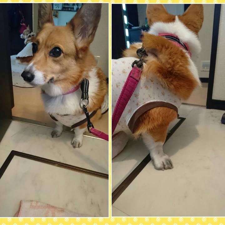 A43cbe59 7652 413c 8046 55e7962c8585 1546494825691