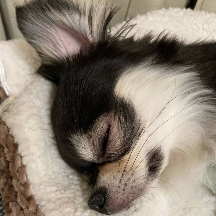 A43d3a53 2cbe 4a05 a1ea 7c47e8974e40 1645971300371