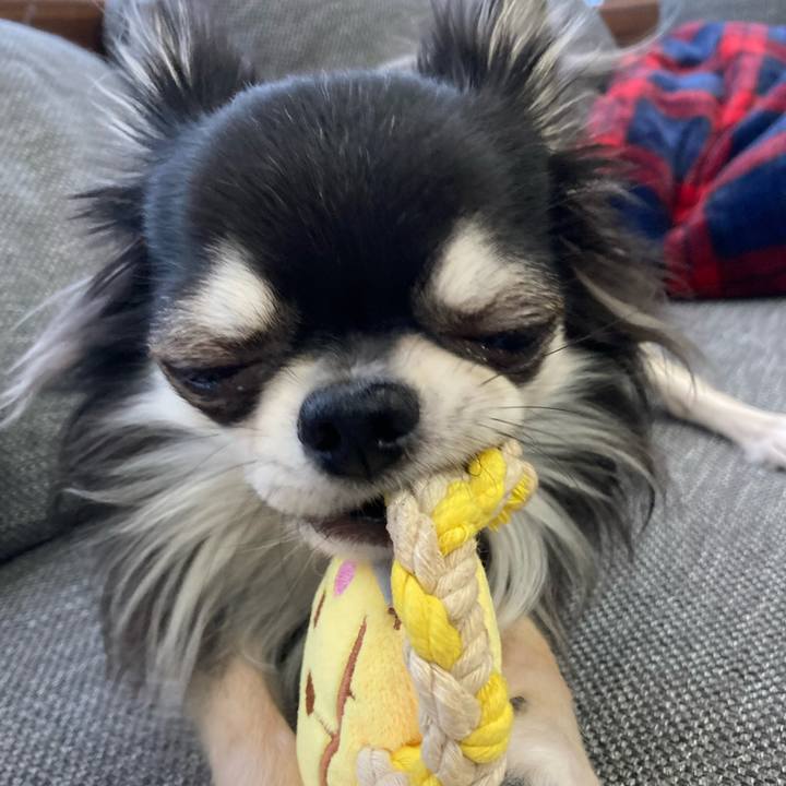 A43d9300 2251 4e19 8ac0 688317890d9a 1616797414191