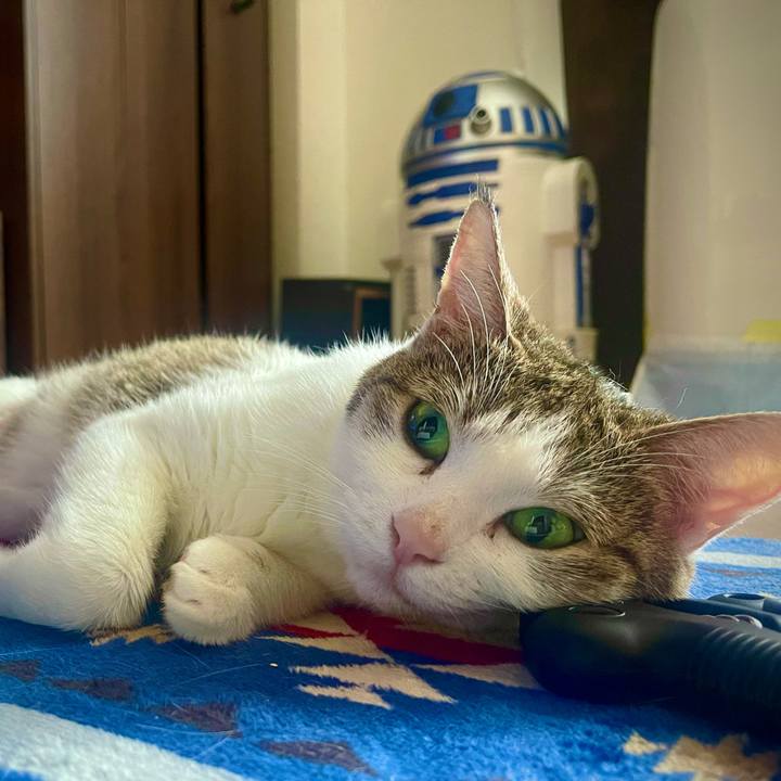 A43da476 664d 4f31 94c3 fff547d0f8be 1627167141414