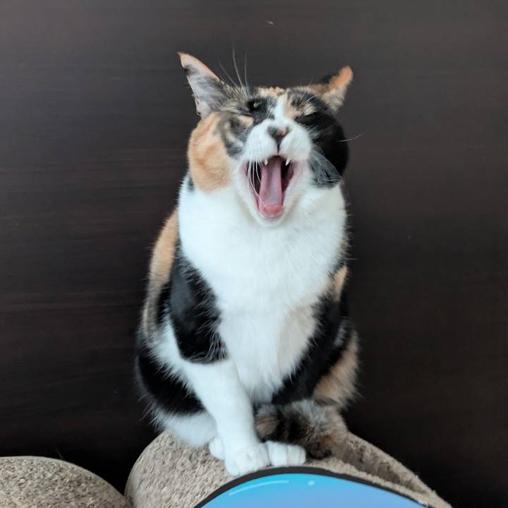 A43db076 d684 4713 baf0 80a06f602569 1770087671080